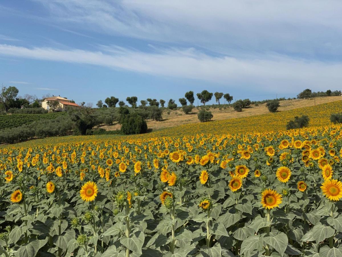 Girasole Appartement San Marcello  Buitenkant foto